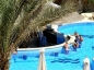 Hilton Sharm Sharks Bay