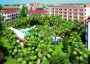 Nergos Garden Hotel ***